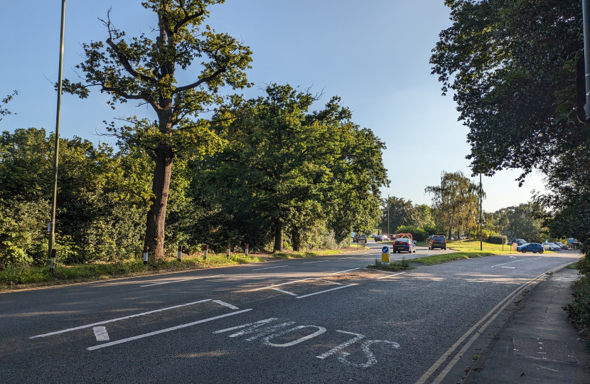 Pictured, the proposed pedestrian crossing site on Portsmouth Road